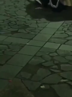 饥渴难耐街头做爱